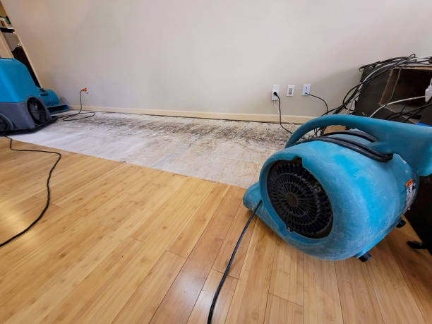 Professional Basement Flood Cleanup technician working in Watervliet, MI